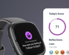 Depois de 8 de julho, os clientes da Fitbit terão que usar o aplicativo Fitbit. (Fonte da imagem: Fitbit)